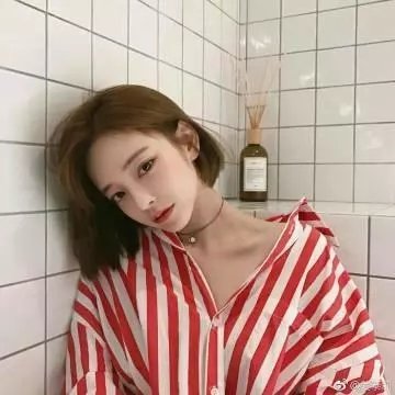 南极物语